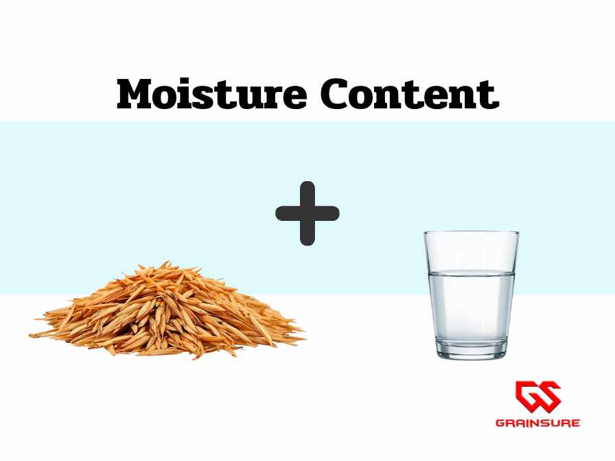 ความชื้นของเมล็ดคืออะไร?