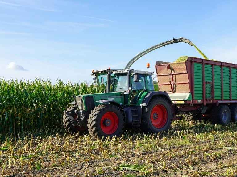 ความชื้นที่เหมาะสมในการซื้อขายเมล็ดข้าวโพดอาหารสัตว์