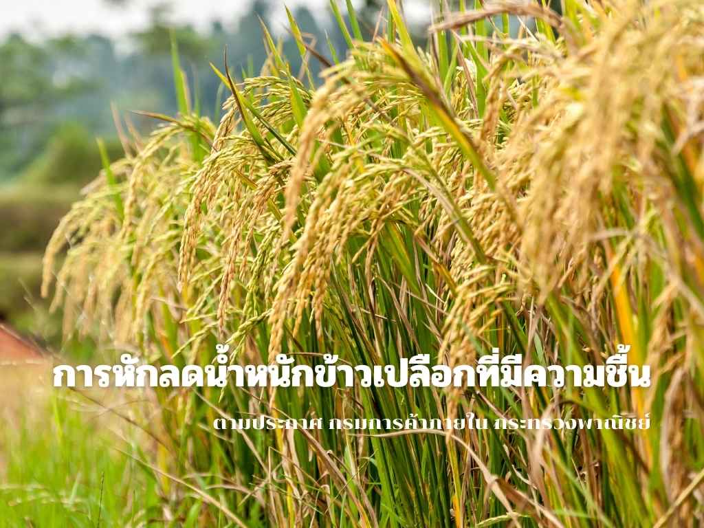 การหักลดน้ำหนักข้าวเปลือกที่มีความชื้น