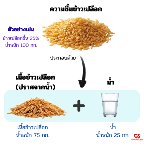 ความชื้นข้าวเปลือก (Paddy Moisture Content): ตัวแปรสำคัญที่กำหนดกำไรและคุณภาพ